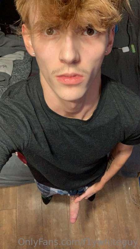 f1ywhiteguy image #2