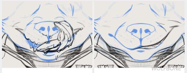 Here’s a sneak peek of a custom Wolf mask I’m having made fo..
