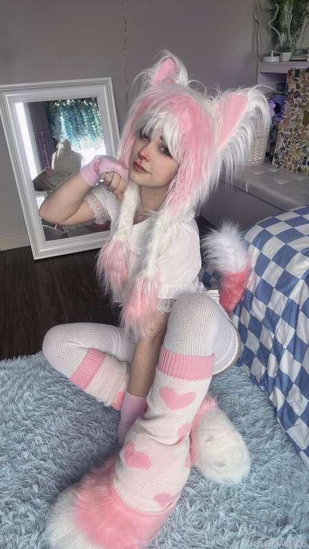 indigowhite image #117
