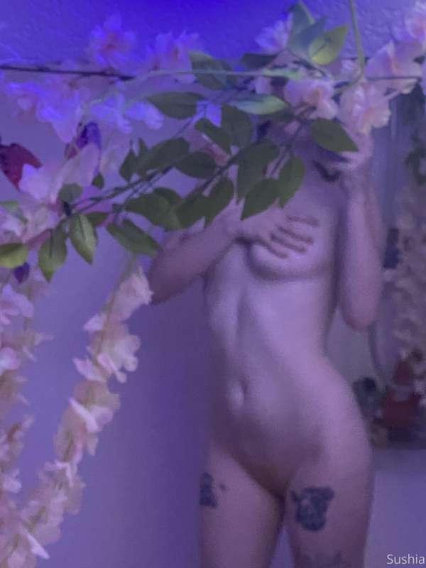 hey please give me advice on how to stop having sex dreams a..