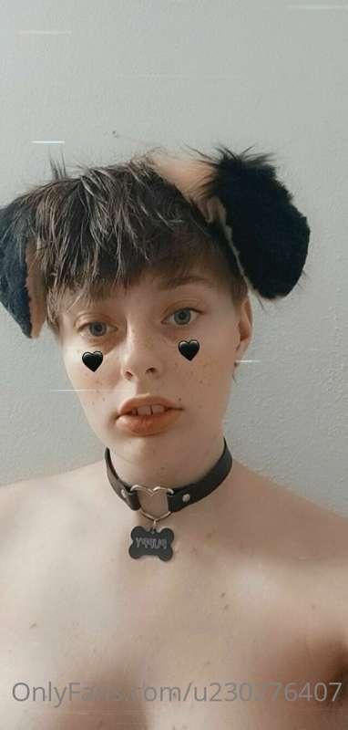 Here is the promised puppy set. So much more puppy content t..