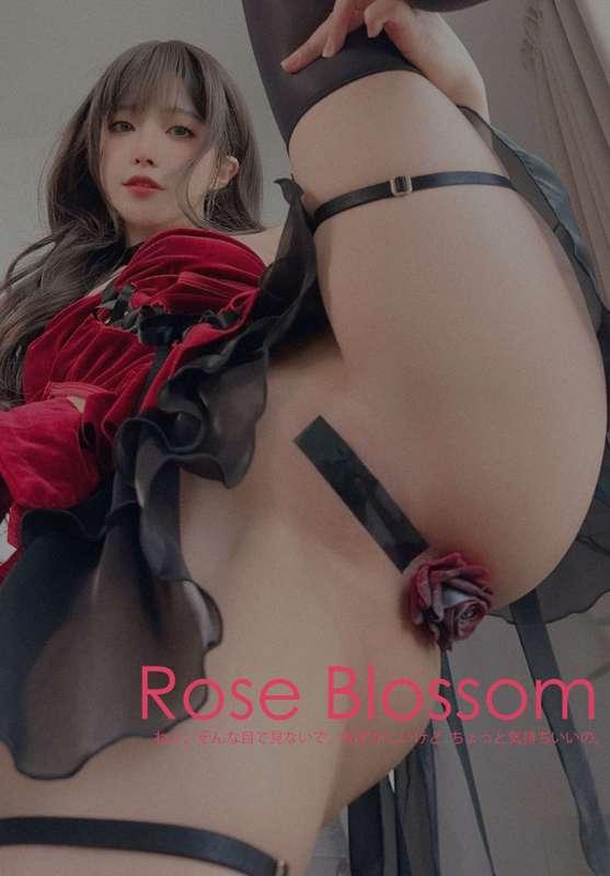 Rose Blossom 🌹