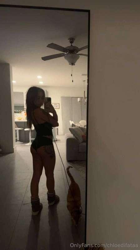 🐱🐱🐱🐱
