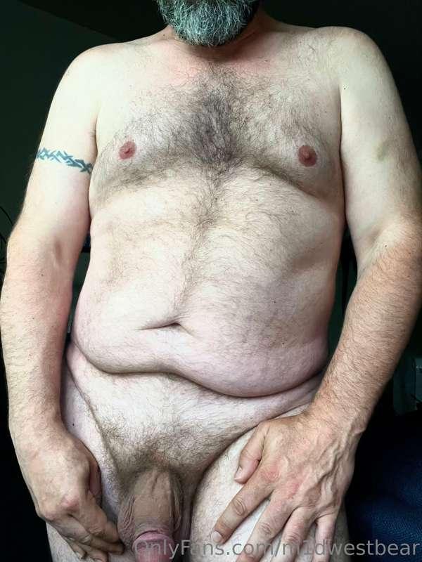 m1dwestbear image #2