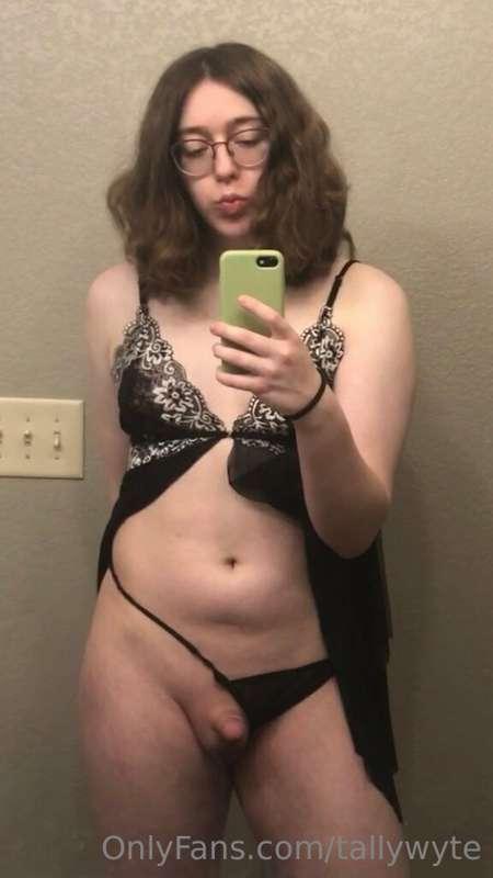 tallywyte image #2