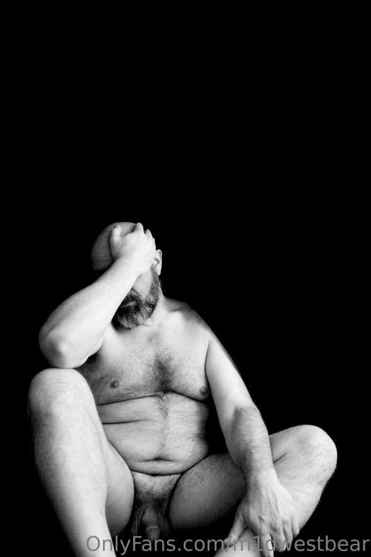 m1dwestbear image #7