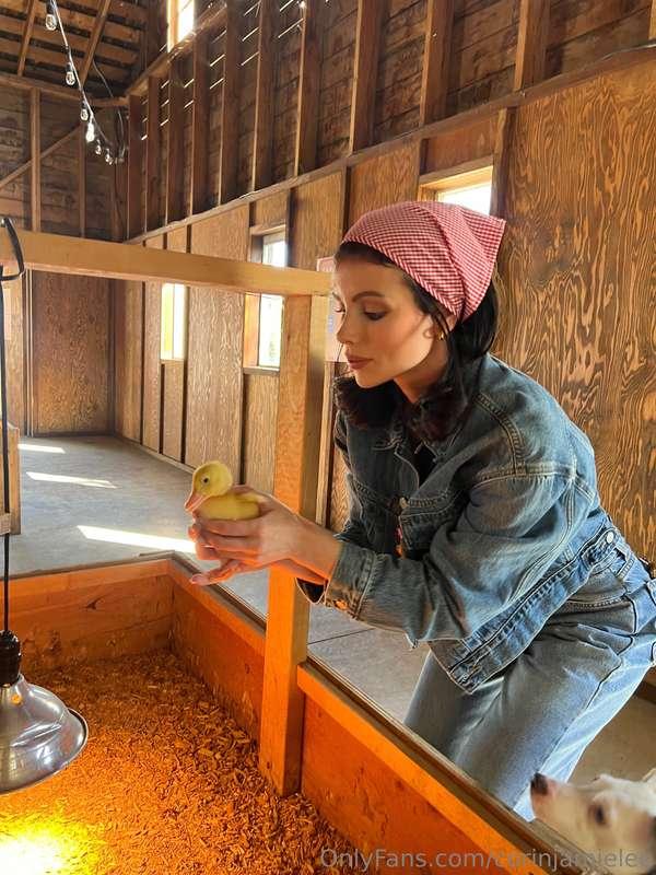  bending over to feed the chickens 