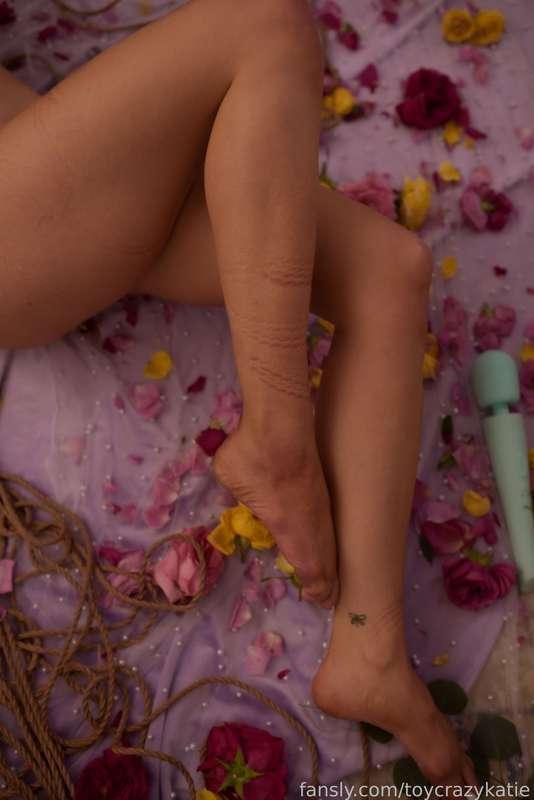 toycrazykatie image #1