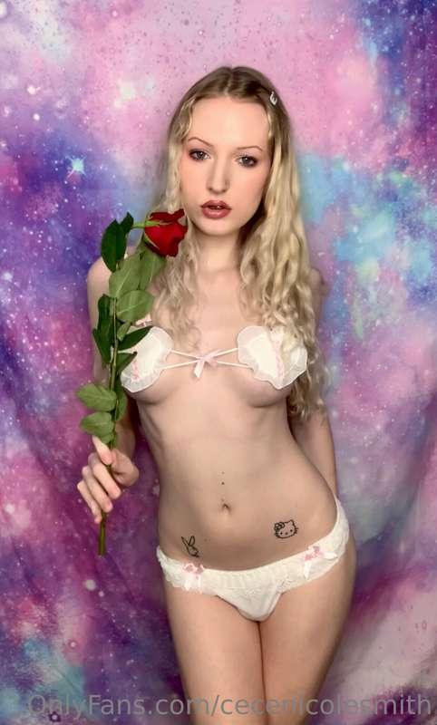 ✨🥀🌹🥀✨