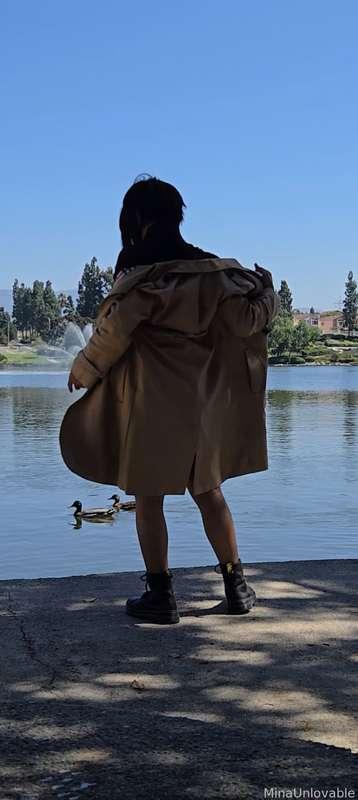 user377072094208335872 image #25