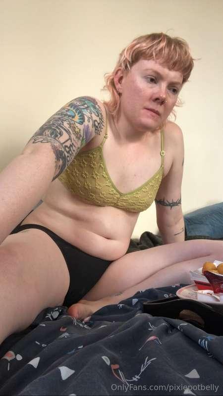 pixiepotbelly image #2