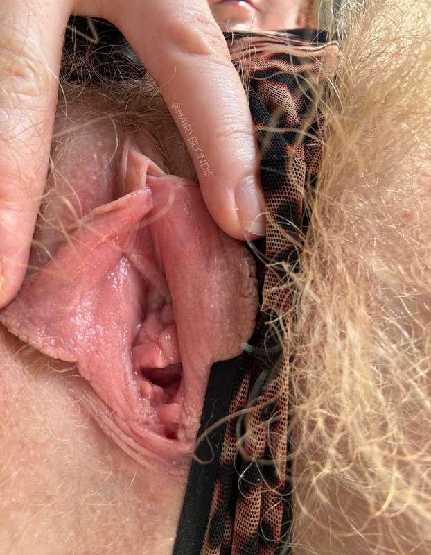 hairyblondie image #4