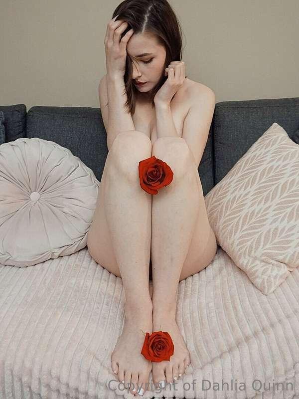 dahliaquinnof image #0