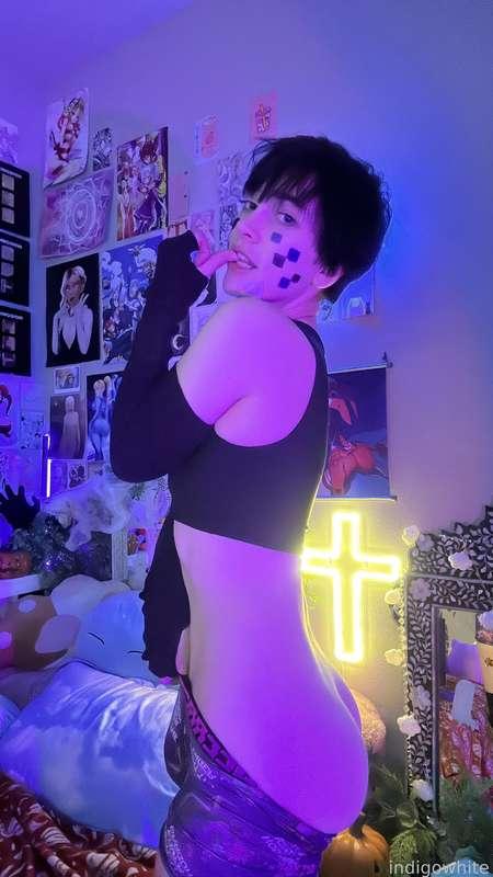 indigowhite image #211