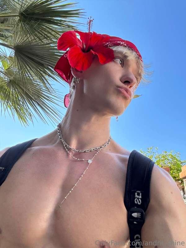 🌺have a beautiful day 
