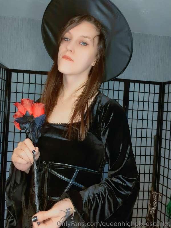 queenhighpixiescarlet image #1