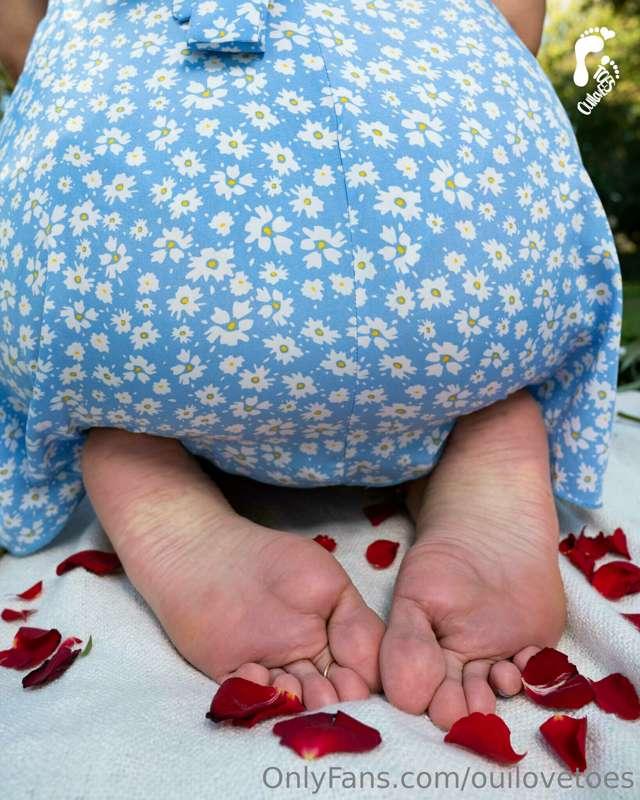 ouilovetoes image #15