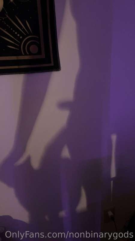 Wish you were my pet yet?