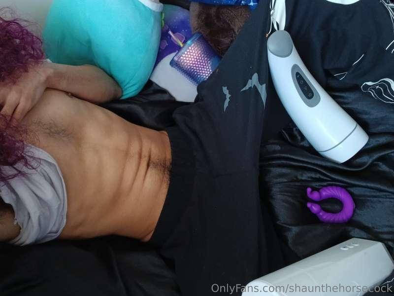 shaunthehorsecock image #0