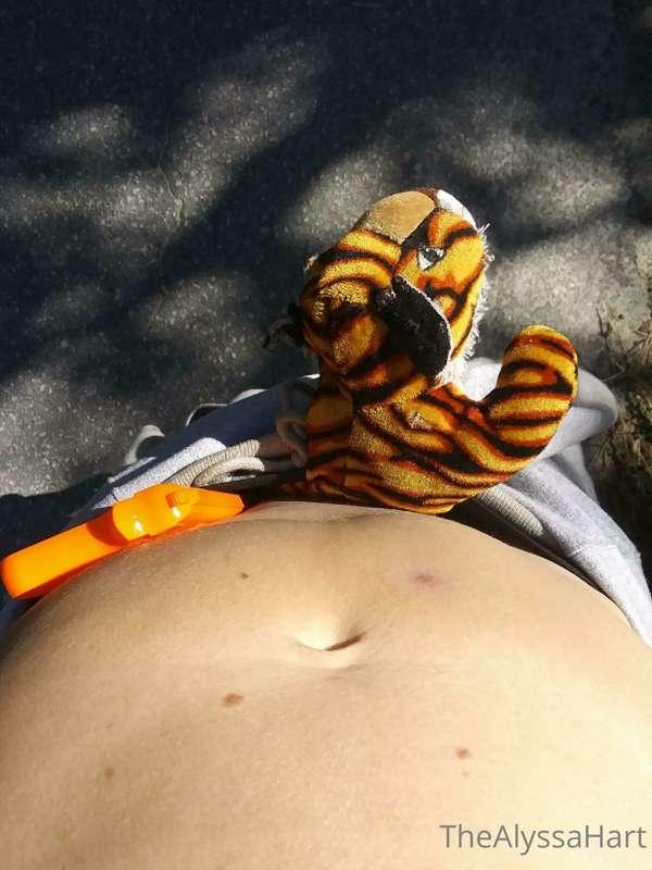 My kitty's getting a little wild, what do you like to see?