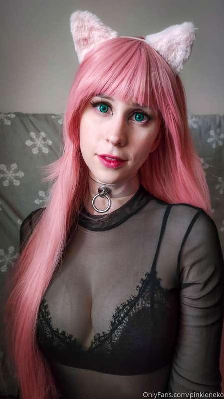 pinkieneko image #6