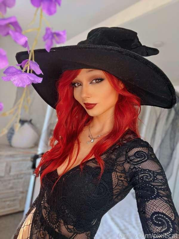 pixiecat image #4