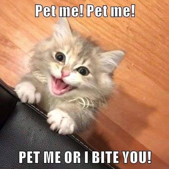I relate😹