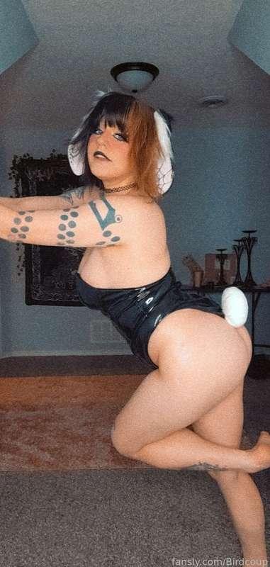 coophound image #1