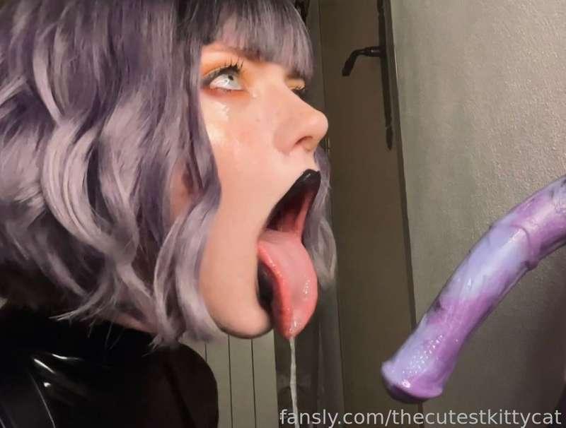 thecutestkittycat image #1