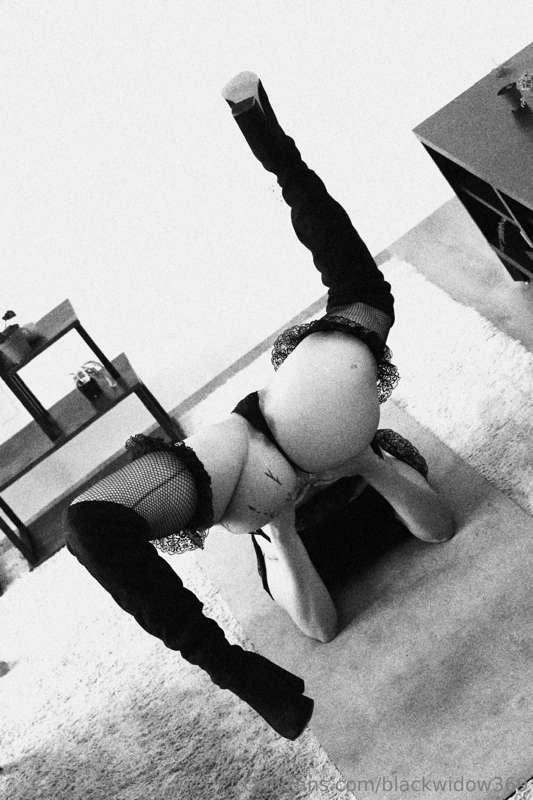 blackwidow369 image #1