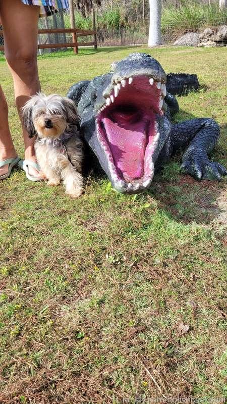 holisticsensual image #2