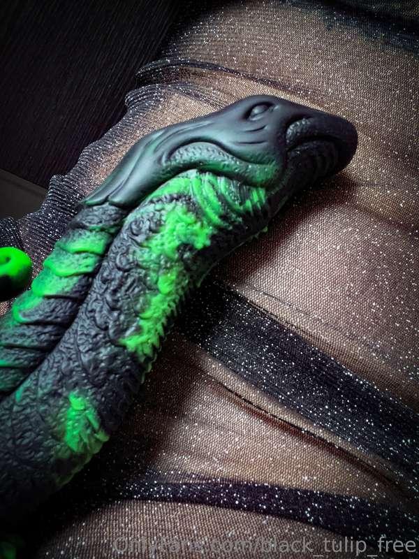 rubber_tulip image #0