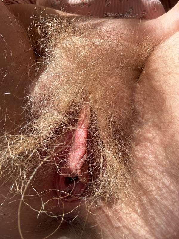 hairyblondie image #3