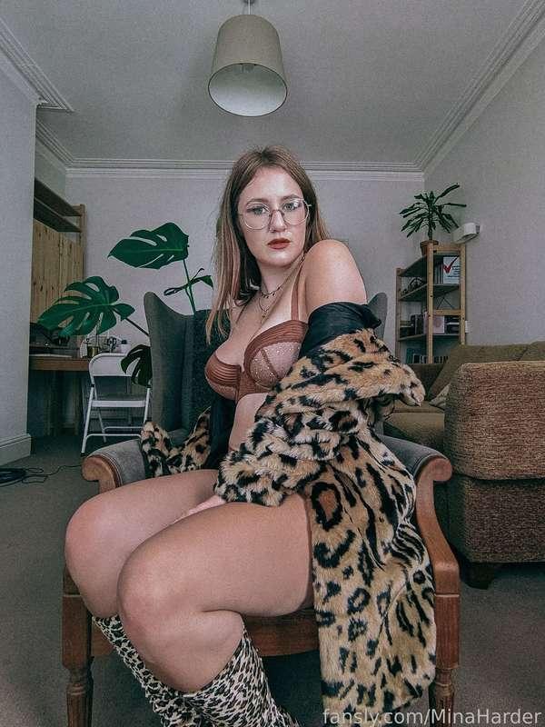 minaharder image #5