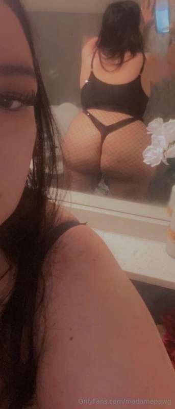 madamepawg image #14