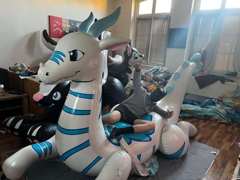 squeaky_pup image #0
