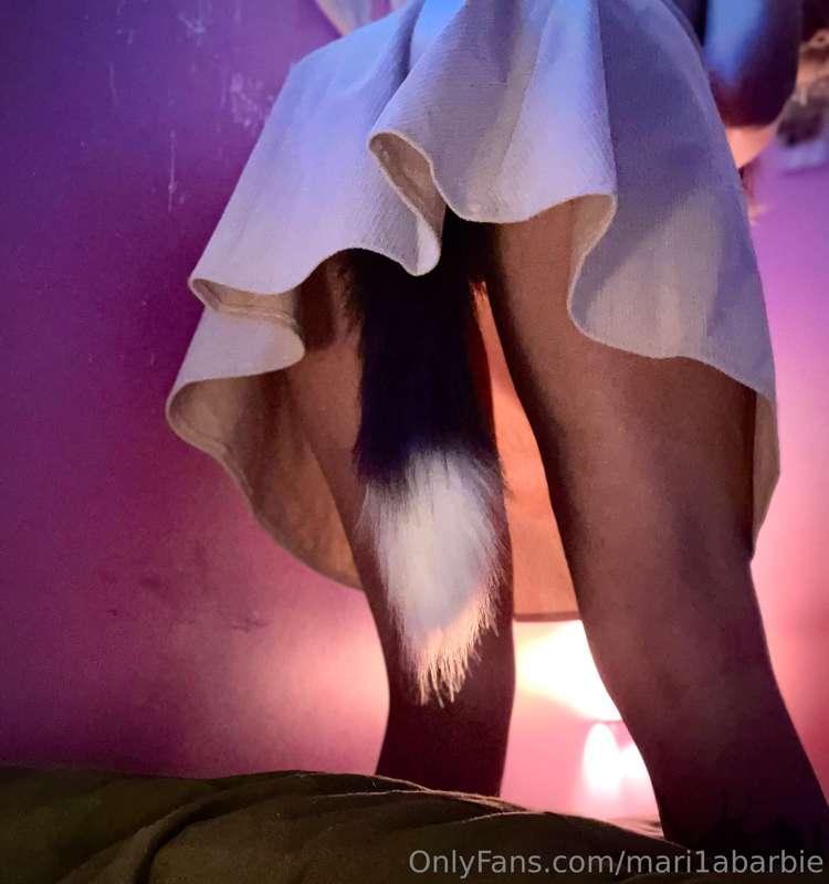 Meow 😸