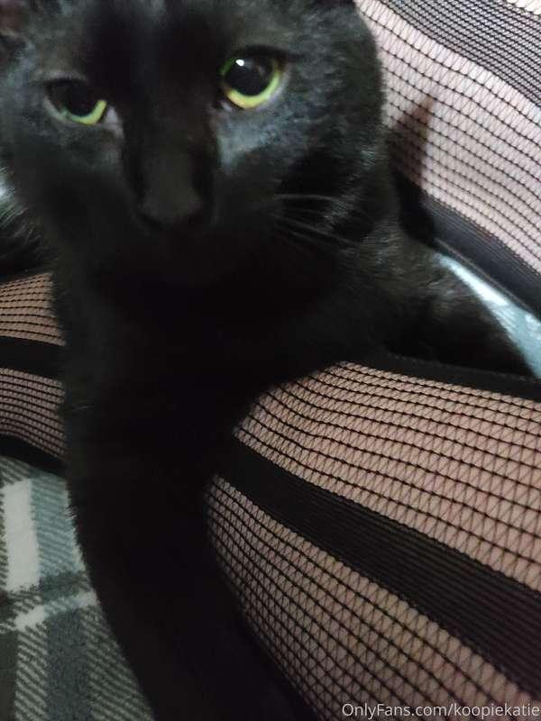 Here's some Nova pics because she wouldn't leave me alone wh..