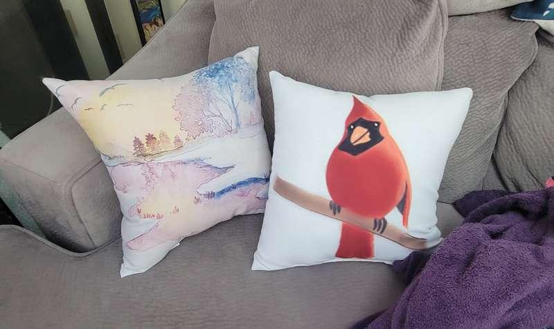 My new pillows on the couch!