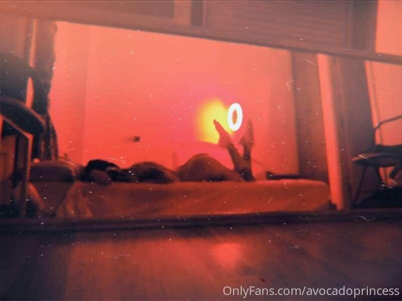 avocadoprincess image #0