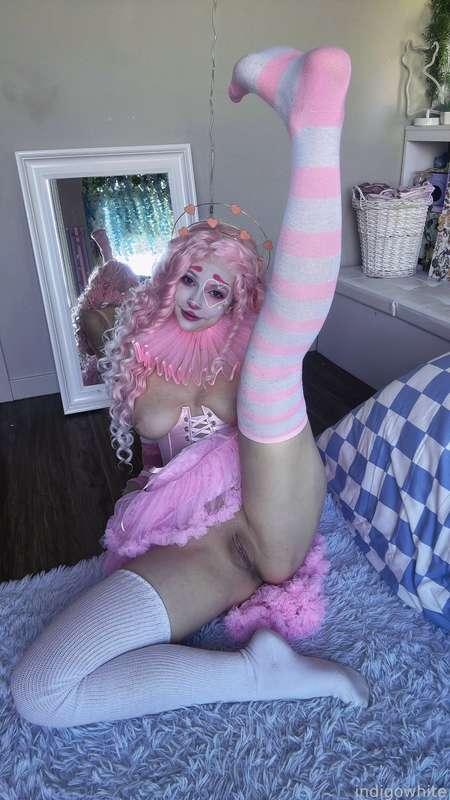 indigowhite image #113