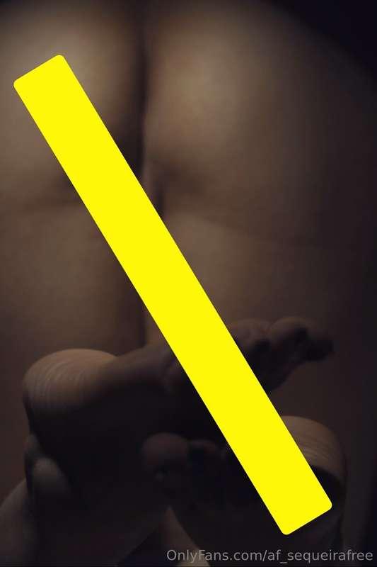 af_sequeirafree image #1