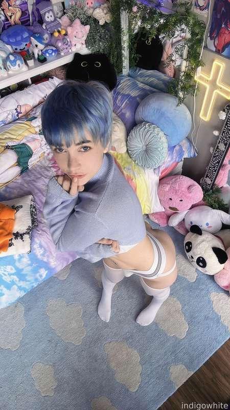 indigowhite image #192