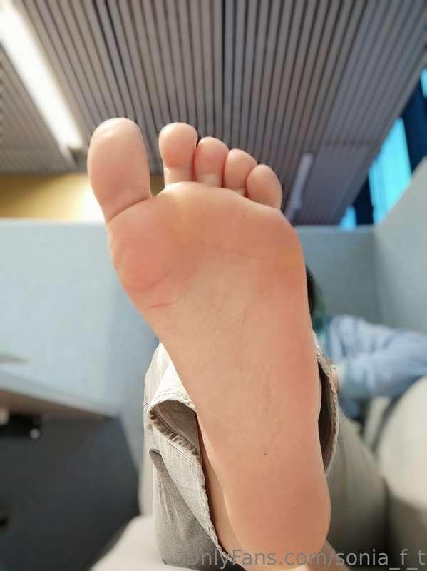 have you ever licked anyone's feet in the library?😼❤