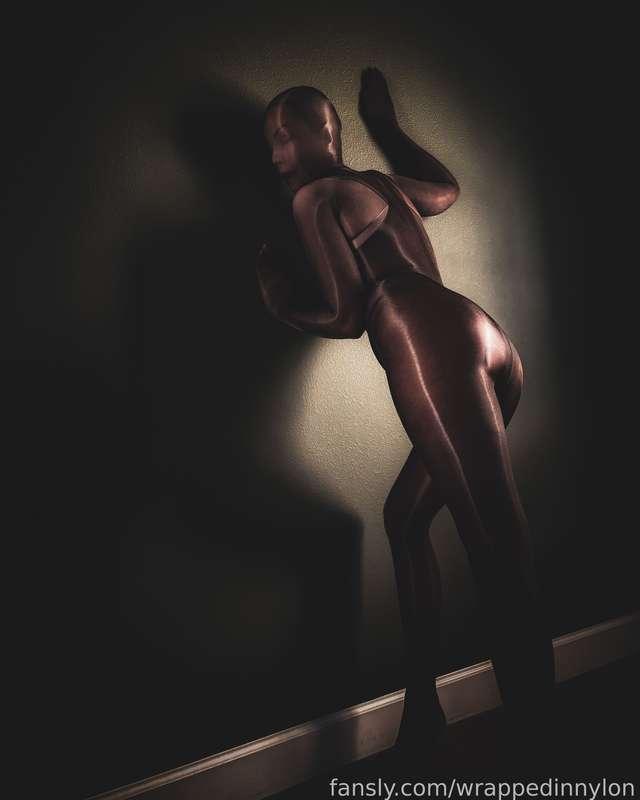 wrappedinnylon image #1