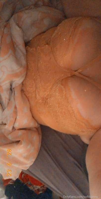 softbunny__ image #0