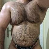 therealturkishbear