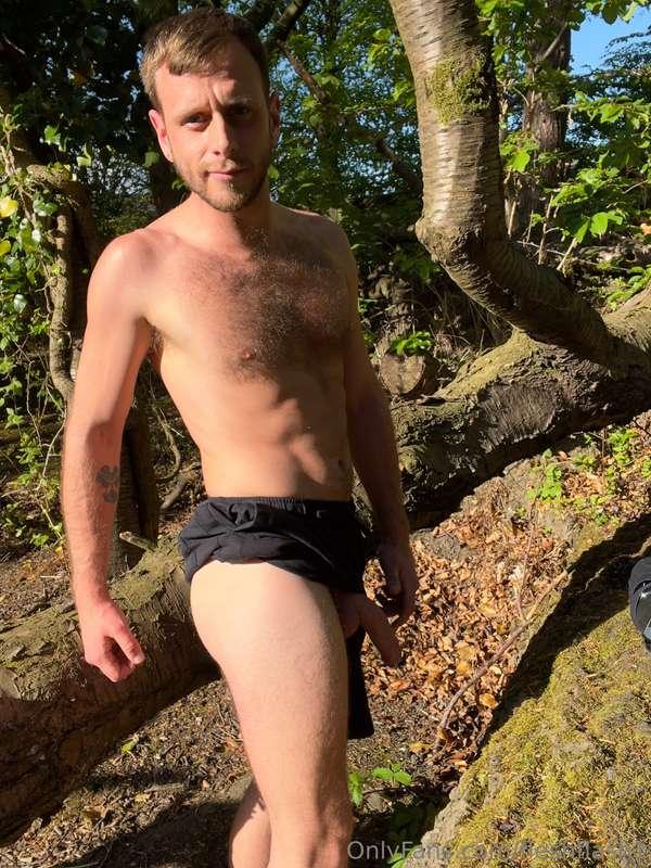 The untamed beauty of the forest 🌳