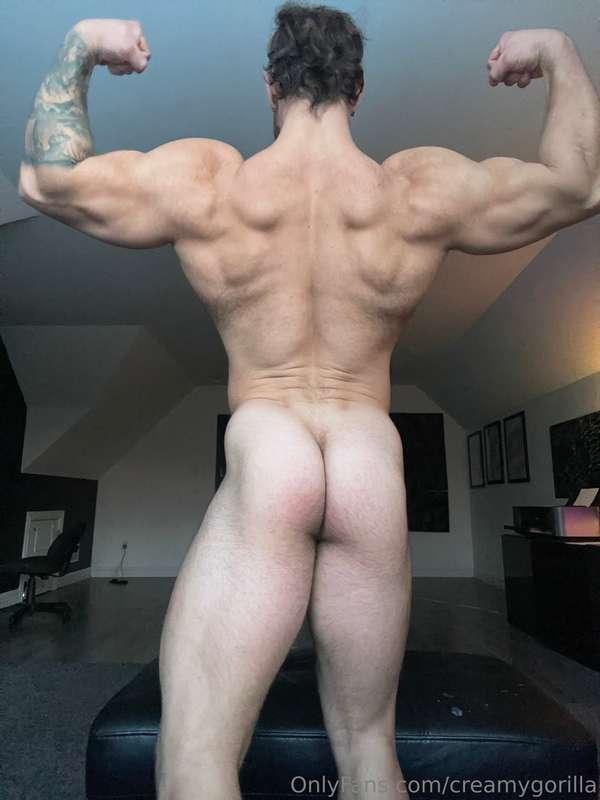 creamygorilla image #0