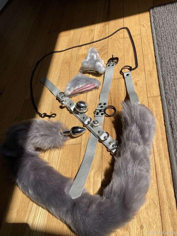 Who is ready for some 🐺 new content 🐺 lol